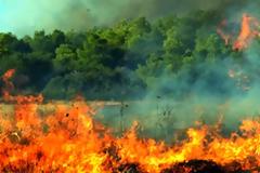 Χαλκιδική: Κεραυνός προκάλεσε πυρκαγιά - 1,5 χλμ το πύρινο μέτωπο