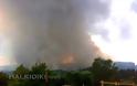 Χαλκιδική: Κεραυνός προκάλεσε πυρκαγιά - 1,5 χλμ το πύρινο μέτωπο - Φωτογραφία 3