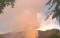 Χαλκιδική: Κεραυνός προκάλεσε πυρκαγιά - 1,5 χλμ το πύρινο μέτωπο - Φωτογραφία 4