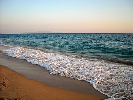 Ιδιοκτήτης οικοπέδου στη Χαλκιδική 'βάφτισε' ιδιωτική την παραλία και την περιέφραξε [photos] - Φωτογραφία 1