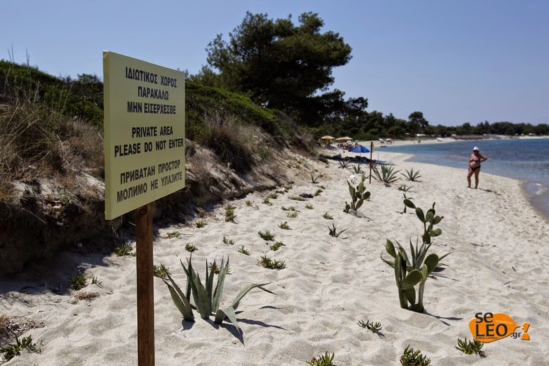 Ιδιοκτήτης οικοπέδου στη Χαλκιδική 'βάφτισε' ιδιωτική την παραλία και την περιέφραξε [photos] - Φωτογραφία 4