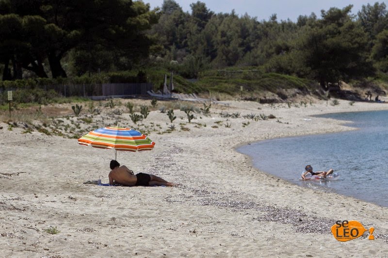 Ιδιοκτήτης οικοπέδου στη Χαλκιδική 'βάφτισε' ιδιωτική την παραλία και την περιέφραξε [photos] - Φωτογραφία 6
