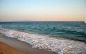 Ιδιοκτήτης οικοπέδου στη Χαλκιδική 'βάφτισε' ιδιωτική την παραλία και την περιέφραξε [photos]