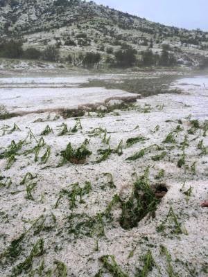 Τρελάθηκε εντελώς ο καιρός! Έριξε χαλάζι στα Τρίκαλα που έφτασε το μισό μέτρο! [photos] - Φωτογραφία 2