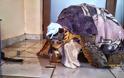 Έσωσαν χελώνα Caretta caretta στην Ηγουμενίτσα [photos]