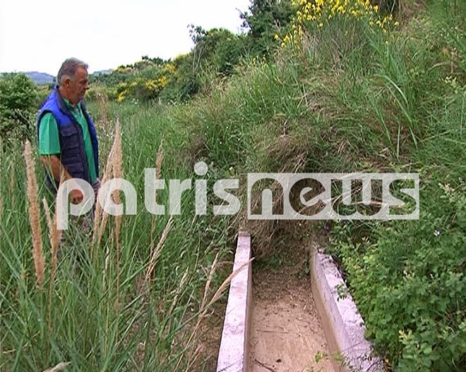 Σε απόγνωση οι αγρότες στην Ηλεία - Περιμένουν να βρέξει [photos] - Φωτογραφία 4