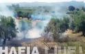Ηλεία: Άρχισαν οι φωτιές – Τρέχει η πυροσβεστική