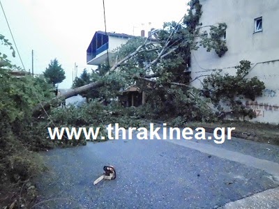 Καταστροφές από καιρικά φαινόμενα στην Ορεστιάδα [video] - Φωτογραφία 3