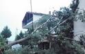 Καταστροφές από καιρικά φαινόμενα στην Ορεστιάδα [video]