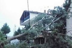 Καταστροφές από καιρικά φαινόμενα στην Ορεστιάδα [video]