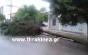 Καταστροφές από καιρικά φαινόμενα στην Ορεστιάδα [video] - Φωτογραφία 2