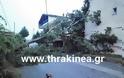Καταστροφές από καιρικά φαινόμενα στην Ορεστιάδα [video] - Φωτογραφία 3