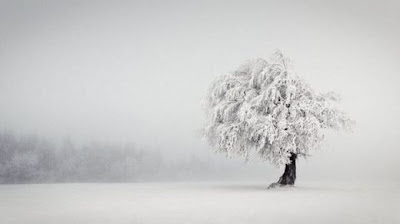 Τοπία στην ομίχλη! - Φωτογραφία 19