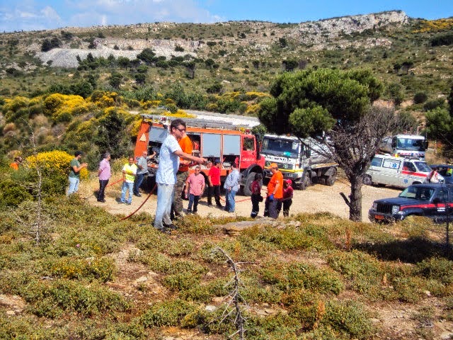 Γ.Πατούλης: Στην Πεντέλη ποτίσαμε σήμερα τα σημεία που αναδασώσαμε το χειμώνα - Φωτογραφία 6