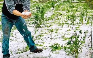 Οι παραγωγοί ζητούν να κηρυχθεί ο νομός Σερρών σε κατάσταση εκτάκτου ανάγκης - Φωτογραφία 2