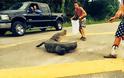 ΗΠΑ: Έτσι πήγε να βγάλει αλιγάτορα από το δρόμο και κατέληξε στο νοσοκομείο! - Προσοχή, σκληρές εικόνες