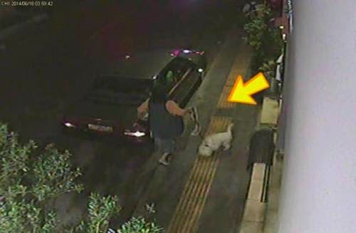 Βίντεο ΝΤΟΚΟΥΜΕΝΤΟ για γερά νεύρα: Γυναίκα εγκαταλείπει το σκυλάκι της στη Νίκαια - Χτυπιέται μάταια το άμοιρο για να μπει στο αμάξι [video] - Φωτογραφία 1