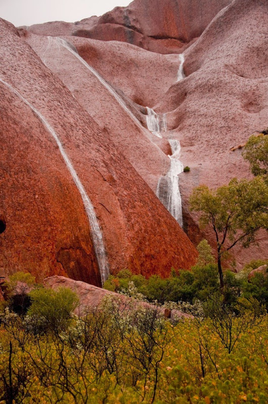 Σπάνιο θέαμα στον βράχο Uluru! - Φωτογραφία 7