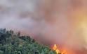 Φωτιά έκαψε 120 στρέμματα στο Νεοχωράκι Αλμυρού