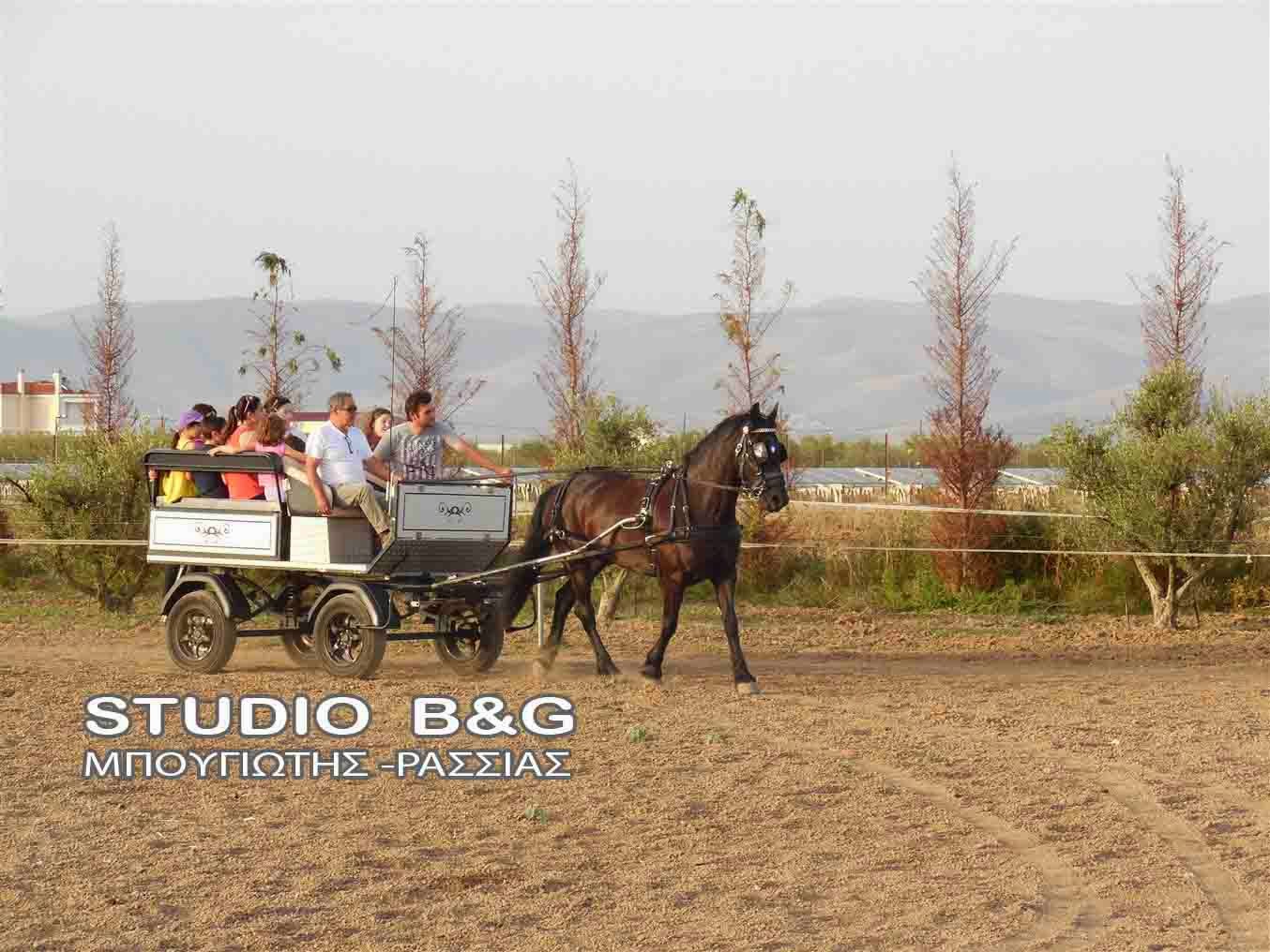 Ο σύλλογος ΑμΕΑ του Νομού Αργολίδας επισκέφτηκε τα άλογα στη Ν. Κίο - Φωτογραφία 3