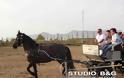 Ο σύλλογος ΑμΕΑ του Νομού Αργολίδας επισκέφτηκε τα άλογα στη Ν. Κίο - Φωτογραφία 7
