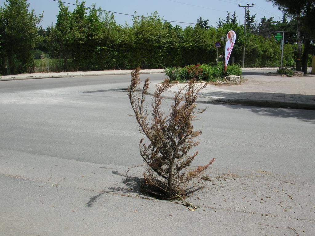 Μεγάλος κίνδυνος από τρύπα που υπάρχει στο δρόμο στην συμβολή Τραπεζούντος και Λεωφόρου Σταμάτας [photos] - Φωτογραφία 2