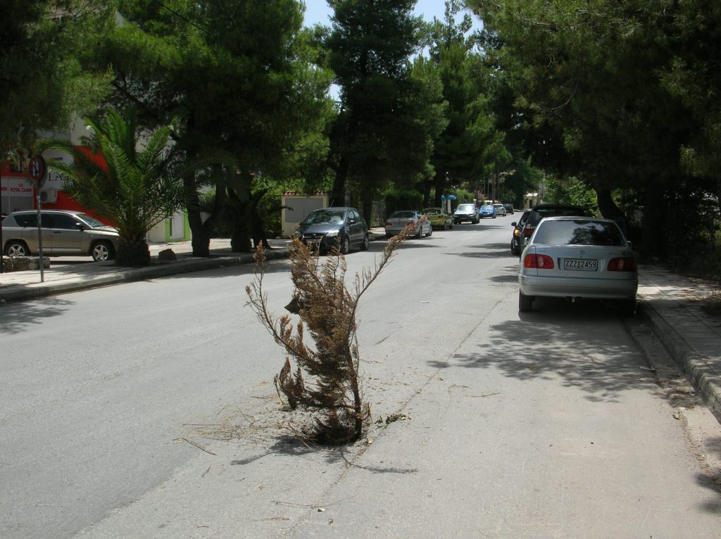 Μεγάλος κίνδυνος από τρύπα που υπάρχει στο δρόμο στην συμβολή Τραπεζούντος και Λεωφόρου Σταμάτας [photos] - Φωτογραφία 3