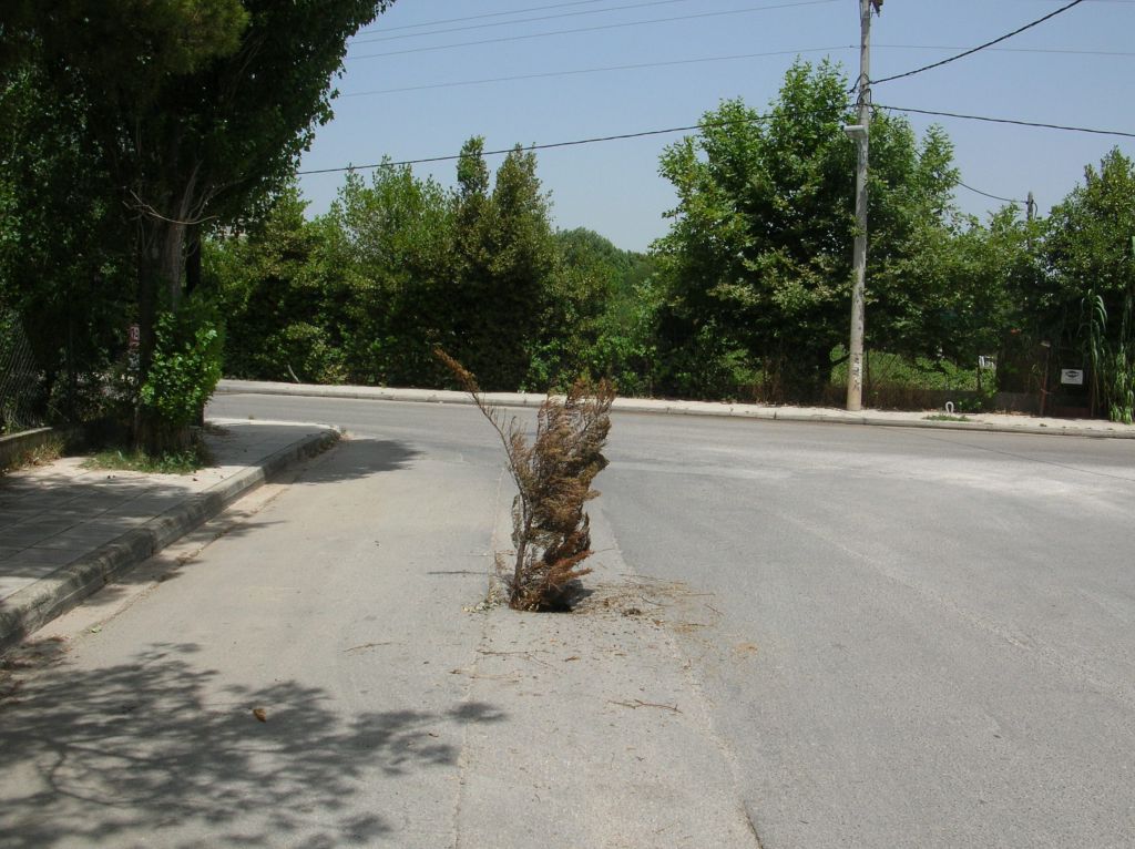 Μεγάλος κίνδυνος από τρύπα που υπάρχει στο δρόμο στην συμβολή Τραπεζούντος και Λεωφόρου Σταμάτας [photos] - Φωτογραφία 4