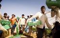 Οι εργάτες γης στα ματωμένα φραουλοχώραφα απαιτούν δικαίωση
