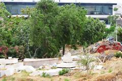 Μπάζα στις κλιτύες της Ακροπόλεως