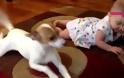 Σκύλος μαθαίνει σε μωρό πως να μπουσουλάει... [video]