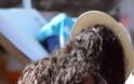 Η μάχη της ξαπλώστρας: Κέιτ Μος και Ναόμι Κάμπελ στην Ίμπιζα για ηλιοθεραπεία με μαύρο μικροσκοπικό μπικίνι - Φωτογραφία 4