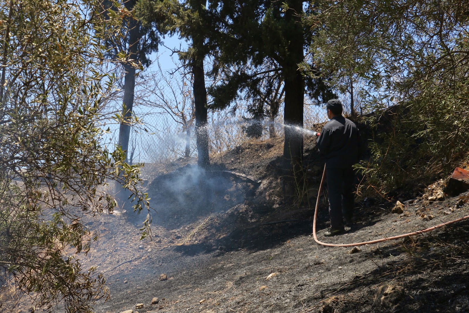 Μεγάλη φωτιά στο Ηράκλειο: Απειλήθηκαν κατοικίες – Δείτε φωτο και βίντεο - Φωτογραφία 2