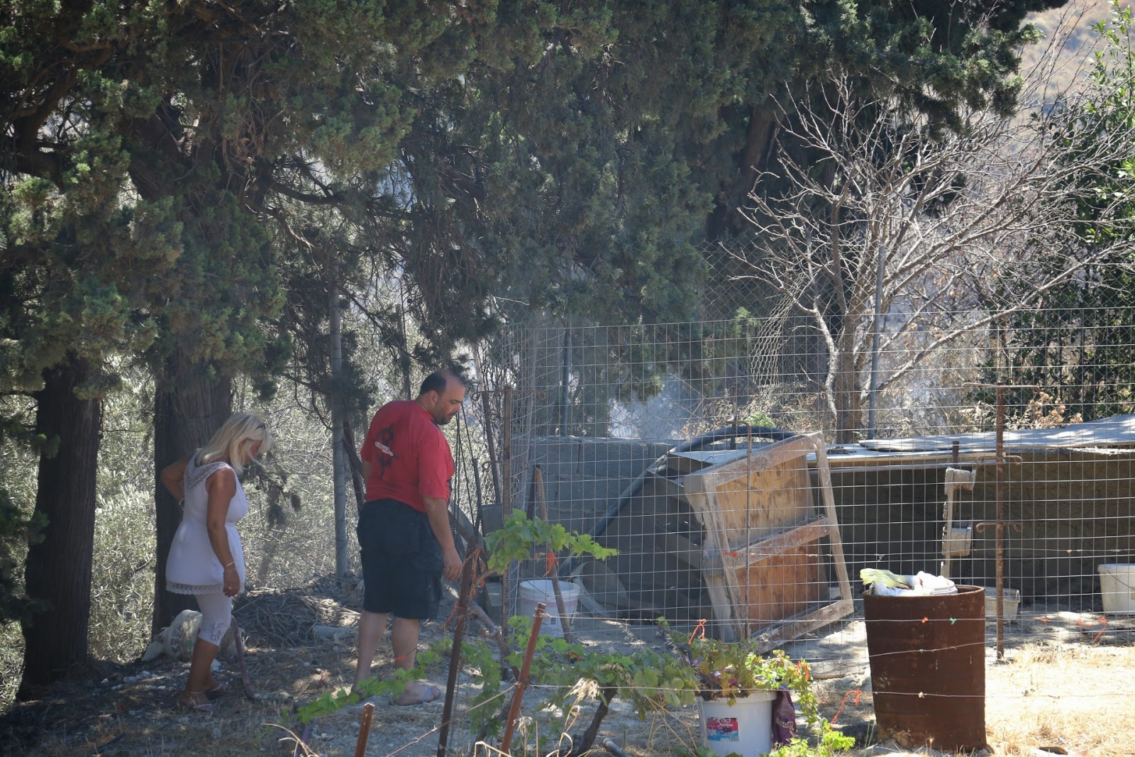 Μεγάλη φωτιά στο Ηράκλειο: Απειλήθηκαν κατοικίες – Δείτε φωτο και βίντεο - Φωτογραφία 5