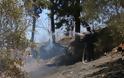 Μεγάλη φωτιά στο Ηράκλειο: Απειλήθηκαν κατοικίες – Δείτε φωτο και βίντεο - Φωτογραφία 2