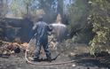Μεγάλη φωτιά στο Ηράκλειο: Απειλήθηκαν κατοικίες – Δείτε φωτο και βίντεο - Φωτογραφία 3