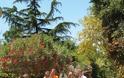 Επίσκεψη του Περιφερειάρχη Αττικής Γιάννη Σγουρού σε έργα που ολοκληρώνονται σε Περιστέρι, Κηφισιά και Αγίους Αναργύρους - Καματερό - Φωτογραφία 3