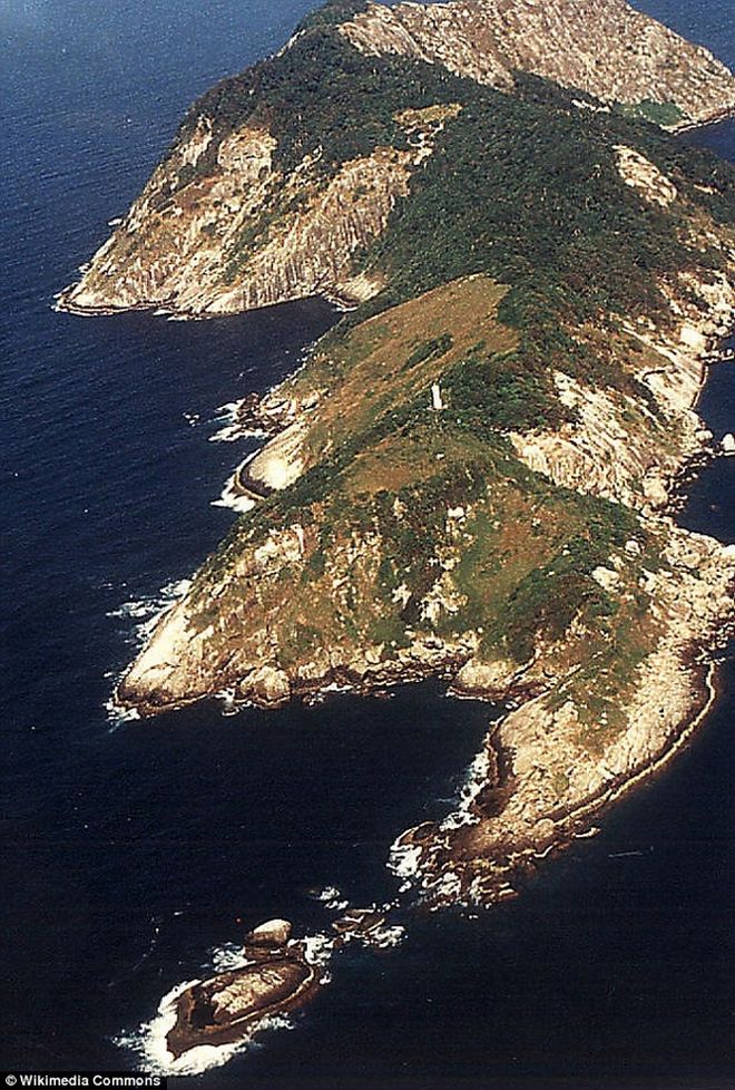 Αυτό είναι το απαγορευμένο νησί της Βραζιλίας που φιλοξενεί τη θανατηφόρα χρυσοκέφαλη οχιά [photos] - Φωτογραφία 2