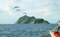 Αυτό είναι το απαγορευμένο νησί της Βραζιλίας που φιλοξενεί τη θανατηφόρα χρυσοκέφαλη οχιά [photos] - Φωτογραφία 3