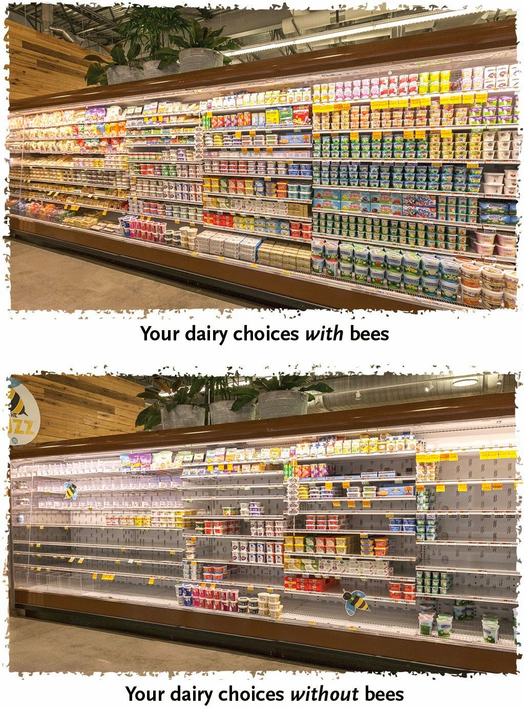 Πώς θα ήταν τα ράφια των σούπερ μάρκετ αν εξαφανίζονταν οι μέλισσες; [photos] - Φωτογραφία 2