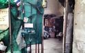 Εγκαταλελειμμένο εμπορικό κέντρο στην Μπανγκόκ απέκτησε περίεργους νέους κατοίκους - Φωτογραφία 3