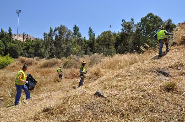 Καθαρίσαμε πάνω από 3.000 στρέμματα σε μήκος 250 Χλμ στον Υμηττό - Φωτογραφία 2