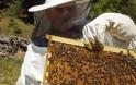 ΥπΑΑΤ: Μέχρι τέλος Ιουλίου 68 εκπαιδευτικά προγράμματα μελισσοκόμων