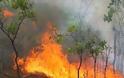 Απαγόρευση κυκλοφορίας οχημάτων και πεζών λόγω κινδύνου εκδήλωσης Πυρκαγιάς στα δάση Μοσχοποδίου, Αγ. Τριάδας και Κιθαιρώνα