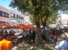 Πανικός στο κέντρο των Τρικάλων με φίδι που βγήκε για... ψώνια στην λαϊκή αγορά [photos + video] - Φωτογραφία 1