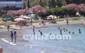 Βούλιαξαν από κόσμο οι παραλίες της Χαλκίδας! [photos] - Φωτογραφία 3