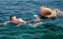 Βίντεο ντοκουμέντο από τον κολυμβητή που γλίτωσε από τα σαγόνια καρχαρία χτυπώντας τον με μπουνιές!