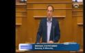 Δημοψήφισμα προτείνει και ο Νίκος Σταυρογιάννης μαζί με άλλους 14 Ανεξάρτητους Βουλευτές για τη ΔΕΗ [video]