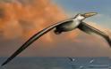 Ανακαλύφθηκε το μεγαλύτερο πουλί που έχει πετάξει ποτέ στη Γη