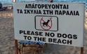 Απαγορεύονται οι σκύλοι στις παραλίες της Λάρνακας